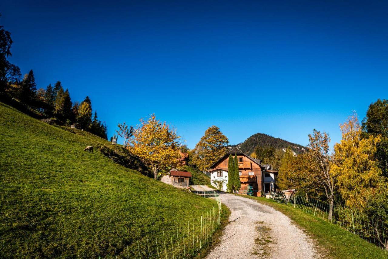 Stallhaeusl Schladming Esterno foto