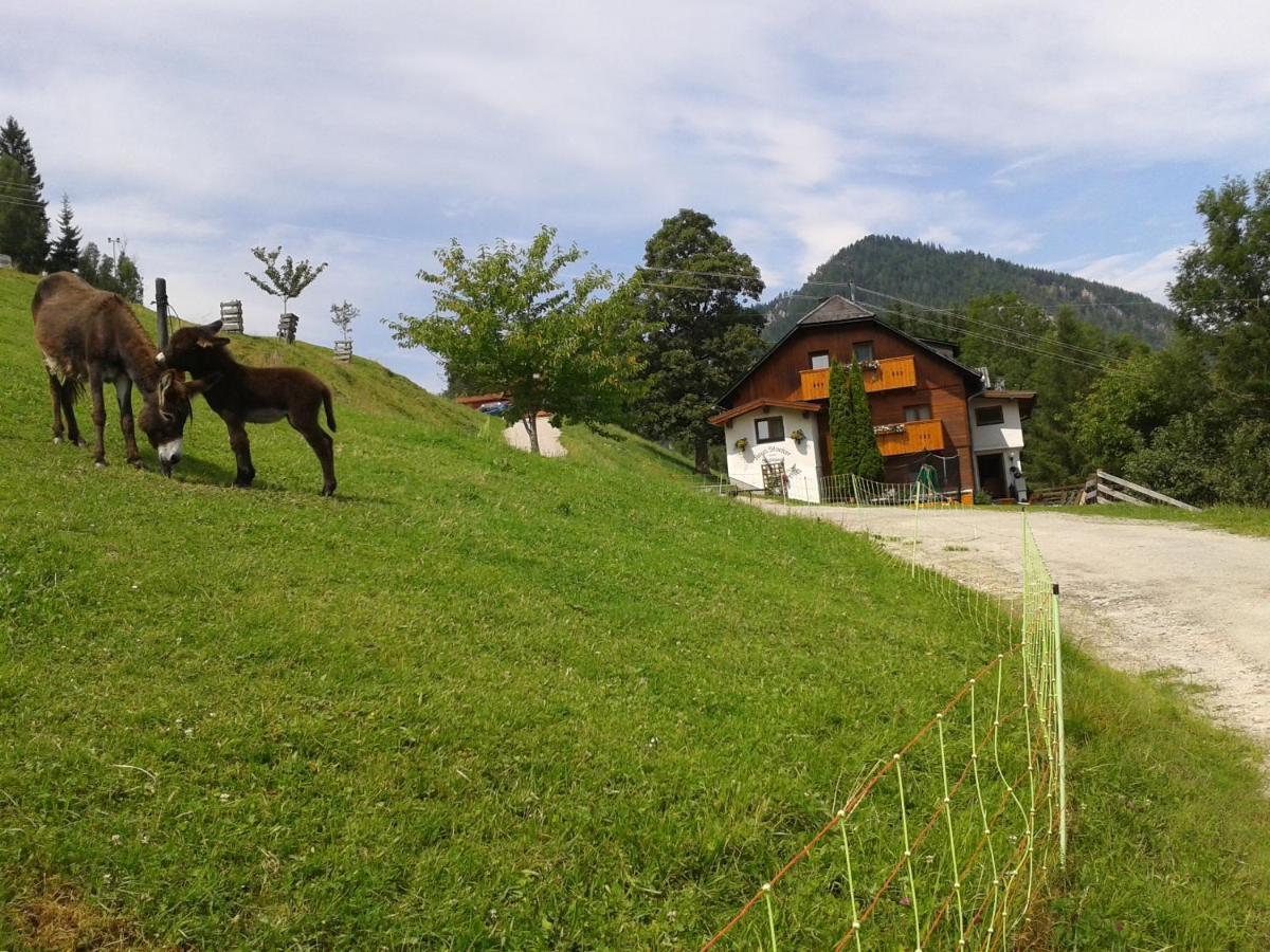 Stallhaeusl Schladming Esterno foto