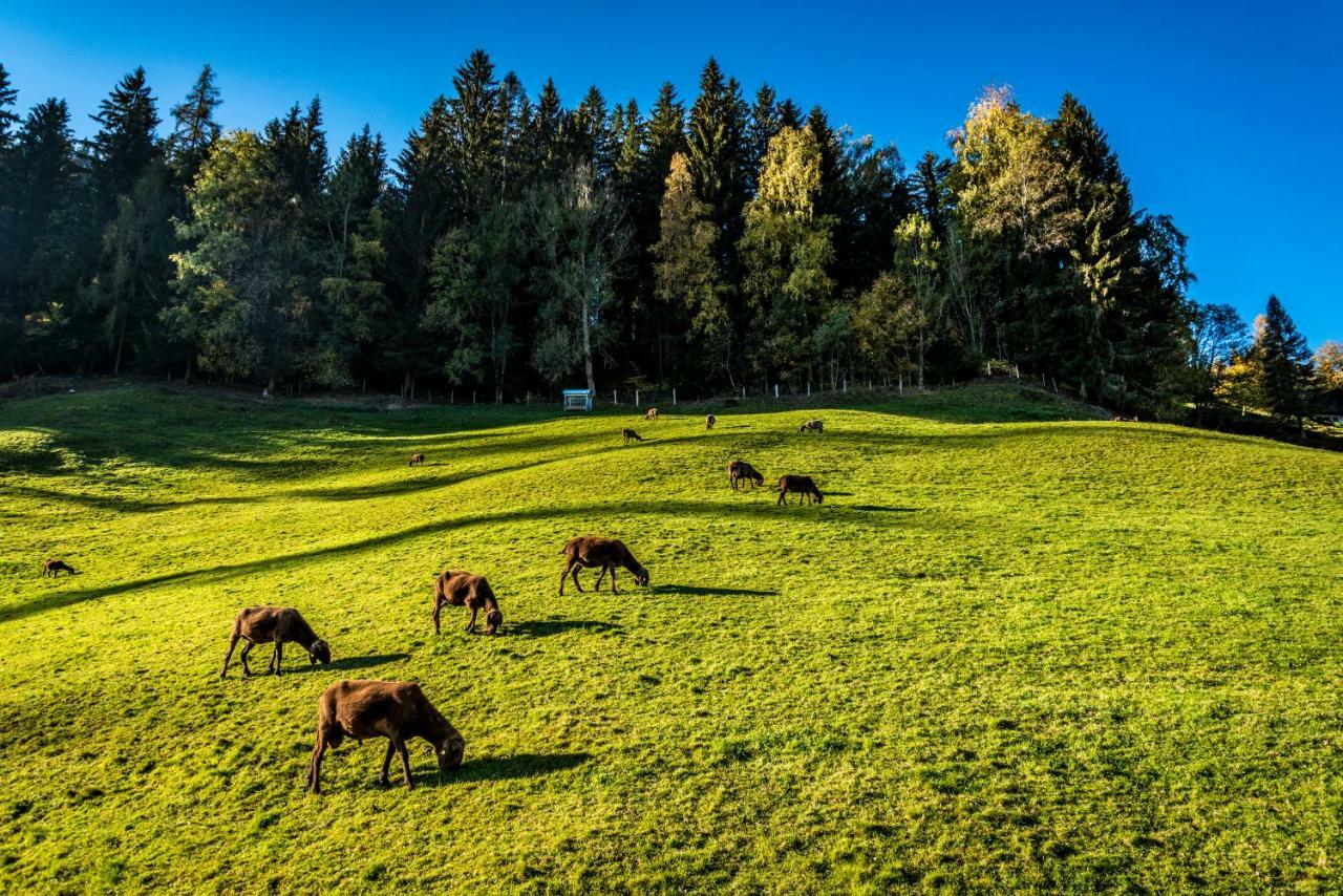 Stallhaeusl Schladming Esterno foto