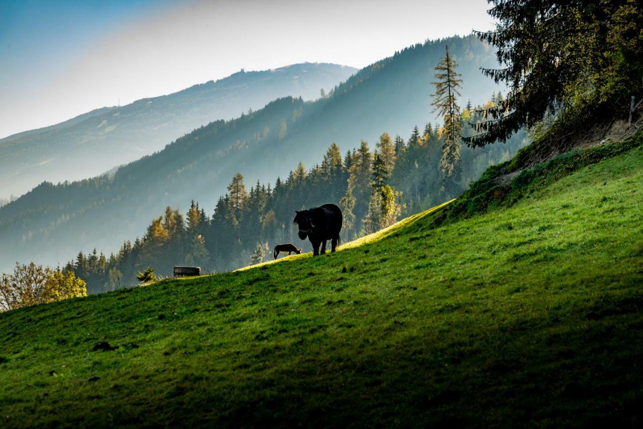 Stallhaeusl Schladming Esterno foto